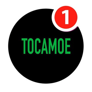 Логотип @tocamoenews - TOCAMOE NEWS