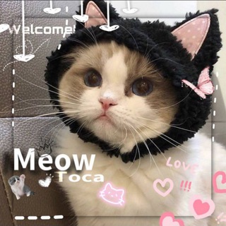 Логотип @tocavuv - 差 💭. ୨ ˚𝗠𝗲𝗼𝘄 𝗧𝗼𝗰𝗮₊ ˚ 🐈 ୨୨