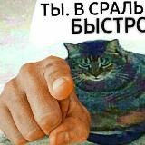 Сегодня я спиздила мем🐁