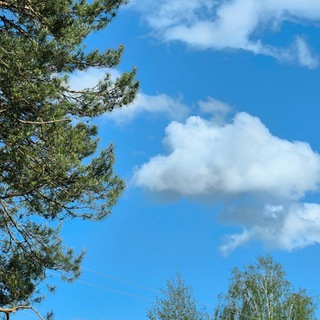 Логотип @todaywehave - На фазенде 🍙