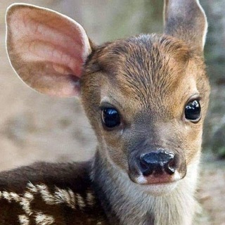 Логотип @todofotoslove - 🪁🎨 IMÁGENES DEL MUNDO 🎭 📸