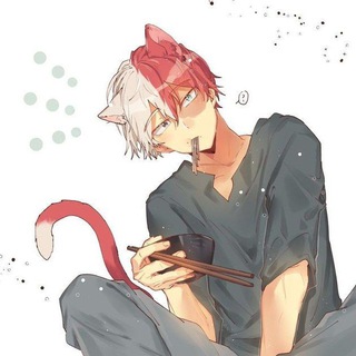 Логотип @todorokiyes5 - шото объединяет