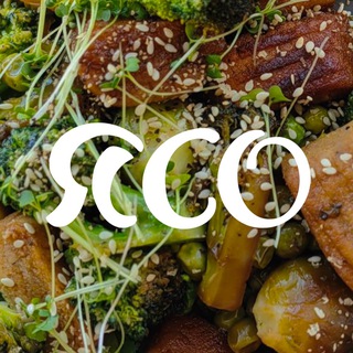 Логотип @tofu_recipes - Веганские рецепты | ЯСО