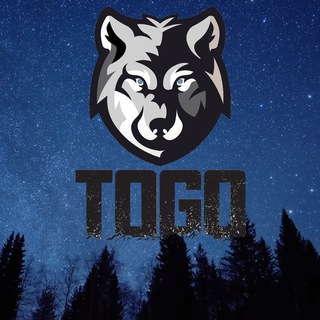 Логотип @togofirework - TogoFire Work