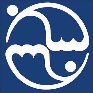 Логотип @toidvoran - ТОИ ДВО РАН 🌊
