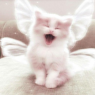 Логотип @tokyyyo_revengers - 𝙩𝙤𝙠𝙮𝙤