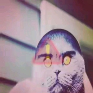 Логотип @tolbchik - Тольчик