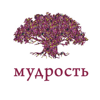 Логотип @toldot_mudrost - Толдот — мудрость дня