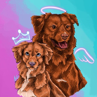 Логотип @tollerbusta - 🧡Толлер банда🧡