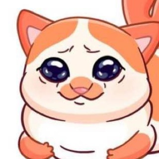 Логотип @tolstykotvsaeroflot - Толстый кот VS Аэрофлот