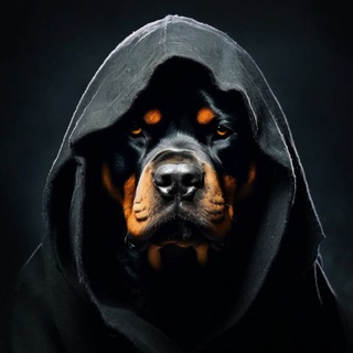 Логотип @tomastorkvemadaz - Tomas Torkvemada Z