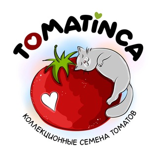 Логотип @tomatinca - Tomatinca🍅