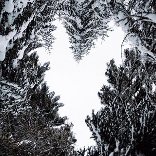 Логотип @tomkulibyakin - Том Кулибякин