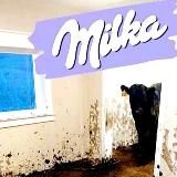 Логотип @tomogav - Томогавк 81-