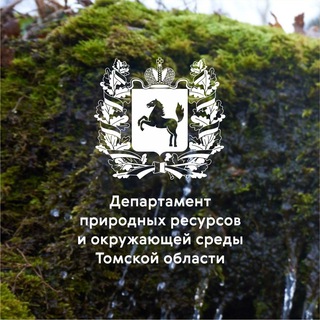 Логотип @tomsk_ecology - Департамент природных ресурсов Томской области