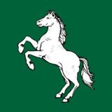 Логотип @tomsk_gid - Новости Томска