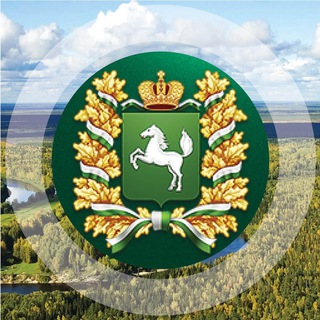 Логотип @tomsk_view - Томский Взгляд