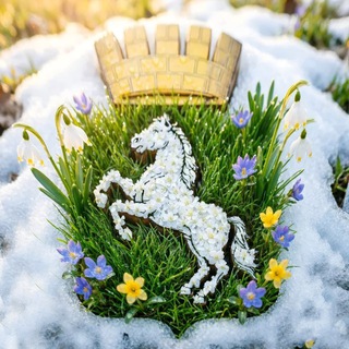 Логотип @tomskadm70 - Мэрия Томска