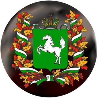 Логотип @tomsvyaznoy - Томский свяZной