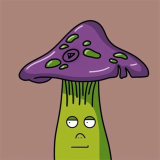 Логотип @ton_mushrooms - Ton Mushrooms NFT