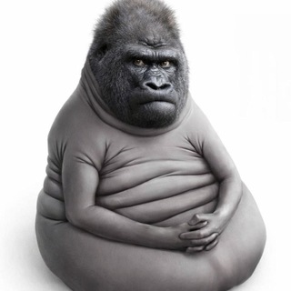 Логотип @tonbasechat - Ton Base Чат