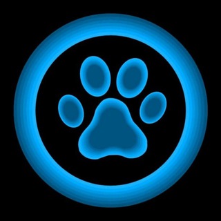 Логотип @tonindependentchat - TON Independent Chat