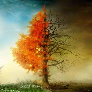 Логотип @tonletsplaychat - TonLetsPlay CHAT