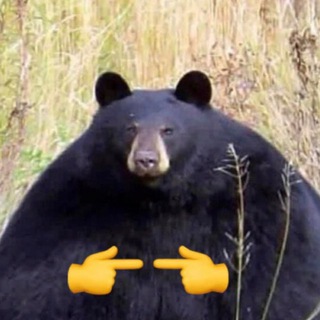 Логотип @tontravkinmusic - Антошенька Мюзик