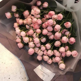 Логотип @top_buket - Цветы для сторис💐