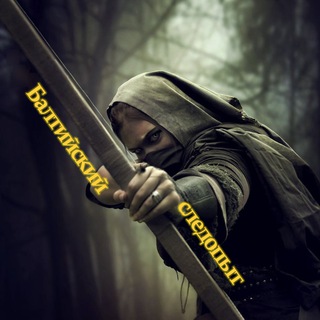 Логотип @topbalt - Балтийский следопыт