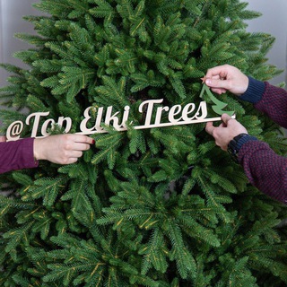 Логотип @topelkitrees - Top Elki Trees / Искусственные елки