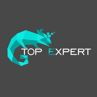 Логотип @topexpert_uz - TopExpert.uz - школа Digital-маркетинга в Узбекистане