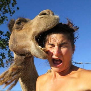 Логотип @topfunnyvideoss - Funny Videos Crazy World 🌎🗺