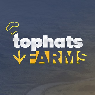 Логотип @tophatsfarms - TOPHATS FARMS 🇬🇧