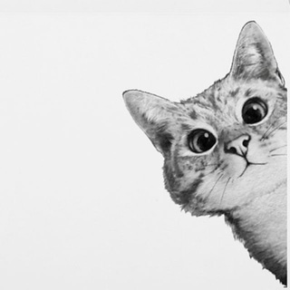 Логотип @topiccat - ТОПиК - Тут Открытки, Праздники и Котики