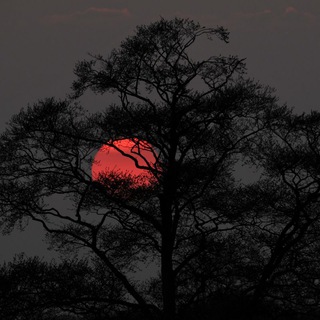 Логотип @topkinobaza - Кино