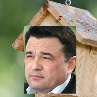 Логотип @topmosreg - Скворечник Воробьева: Топ Подмосковья