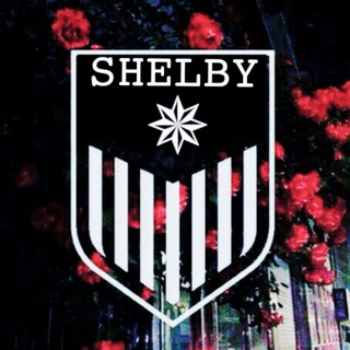 Логотип @topmusic_officiai - SHELBY