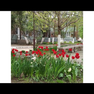 Логотип @topolekkrd - Детский санаторий "Тополек"