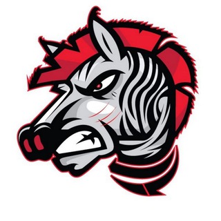 Логотип @topornewz - TOPOR Z-NEWS