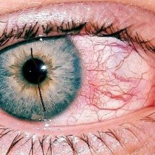 Логотип @toppotop - потоп