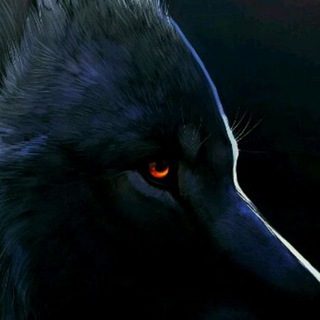 Логотип @toptelegrame - Ai Tools