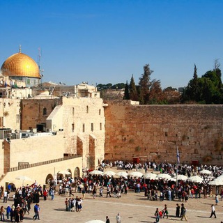 Логотип @torahotvet - Ответы из Торы