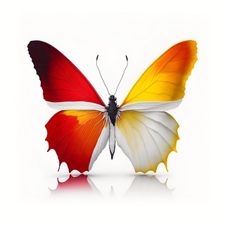 Логотип @torrevieja_migration - Торревьеха