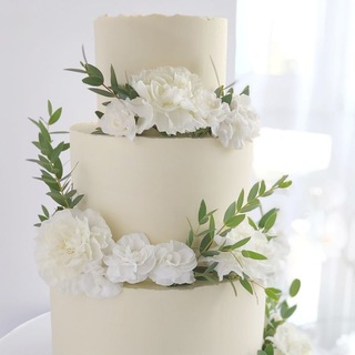 Логотип @tortodelushka_1 - 𝒕𝒐𝒓𝒕𝒐𝒅𝒆𝒍𝒖𝒔𝒄𝒉𝒌𝒂_1