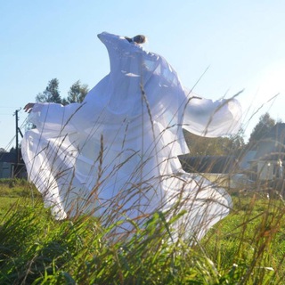 Логотип @tory_burk - トリ