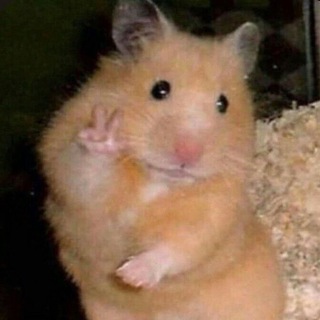 Логотип @tosibosimems - мемное королевство