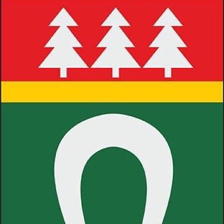 Логотип @tosnenskiy_main - Тосненский | Главный