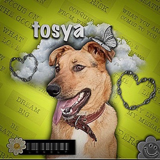 Логотип @tosya112 - 💐𝓓𝓿𝓸𝓻𝓽𝓸𝓼𝔂𝓪 🌤