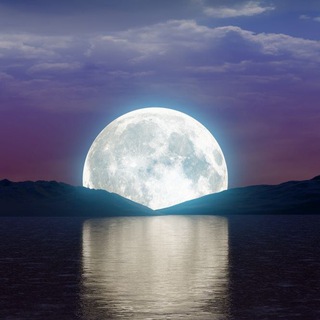 Логотип @tothemooninvesttrade - Выше луны | Инвестиции | Трейдинг